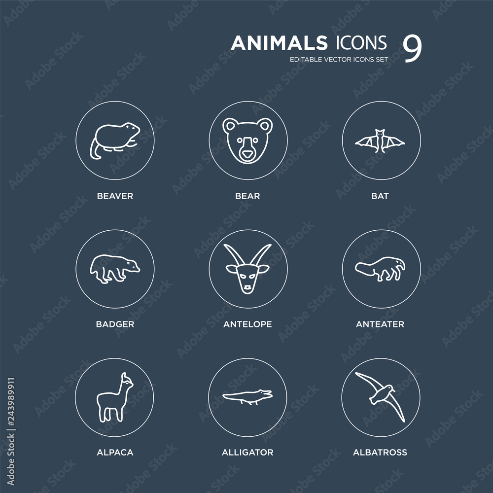 9 Beaver, Bear, Alpaca, Anteater, Antelope, Bat, Badger, alligator modern icons on black background, vector illustration, eps10, trendy icon set.
