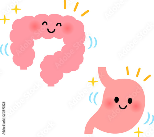 健康な胃腸のキャラクター