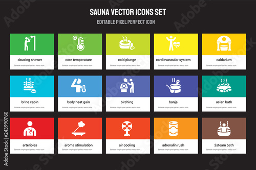 Set of 15 flat sauna icons - Dousing Shower, Core temperature, Air cooling, Caldarium, Arterioles, Banja, Asian bath, Adrenalin rush. Vector illustration isolated on colorful background