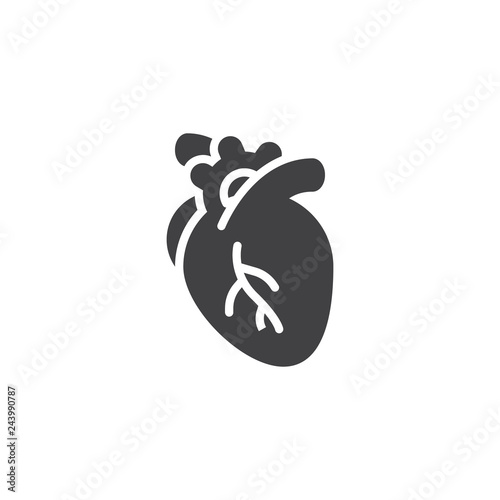 Human heart vector icon. filled flat sign for mobile concept and web design. Anatomical human heart organ simple solid icon. Anatomy symbol, logo illustration. Pixel perfect vector graphics