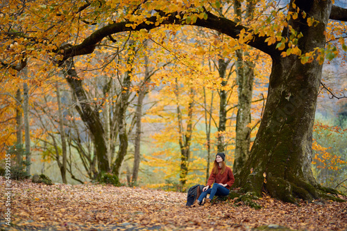 woman traveler resting by the tree in the forest yellow leaves nature forest