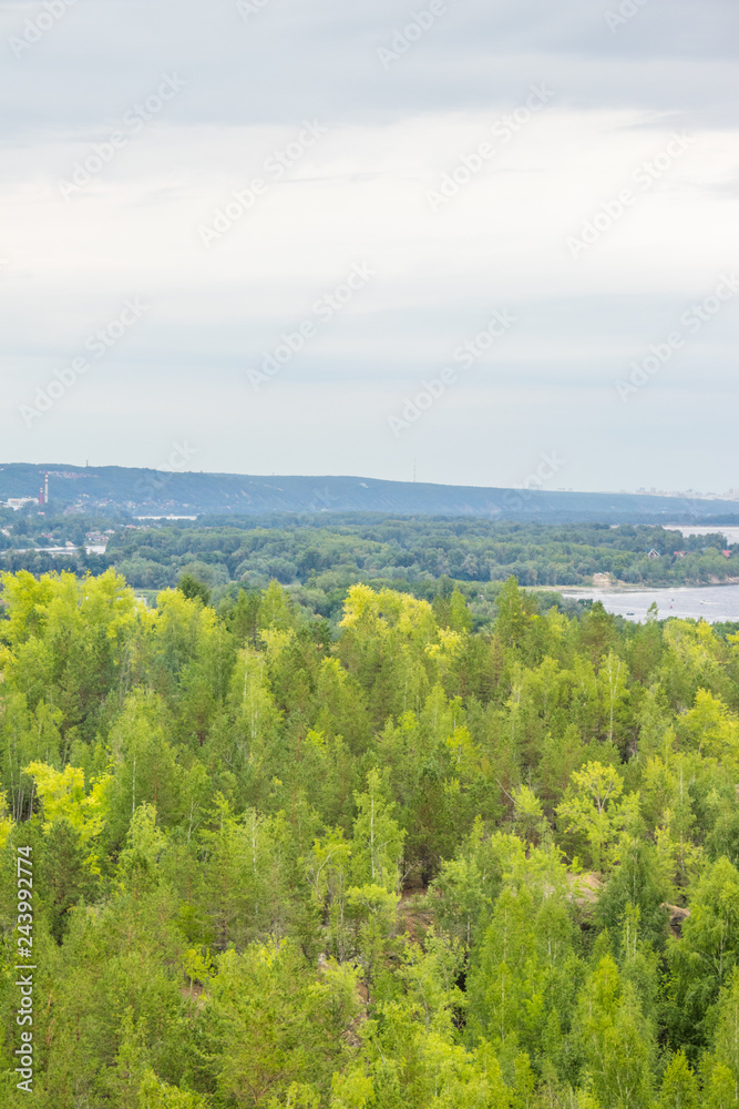 summer landscape, river, forest