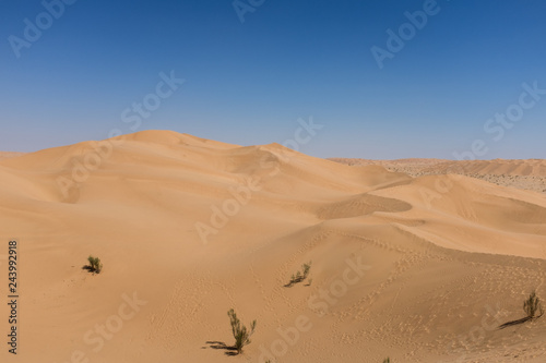 The Empty Quarter desert  Oman