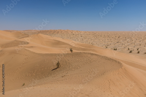 The Empty Quarter desert  Oman