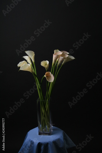 Callas in the vase