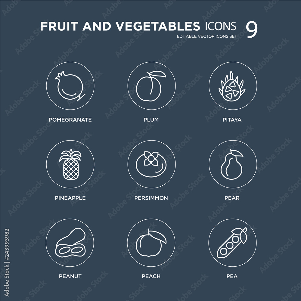9 Pomegranate, Plum, Peanut, Pear, Persimmon, Pitaya, Pineapple, Peach modern icons on black background, vector illustration, eps10, trendy icon set.