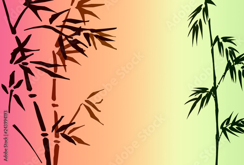 bamboo and background