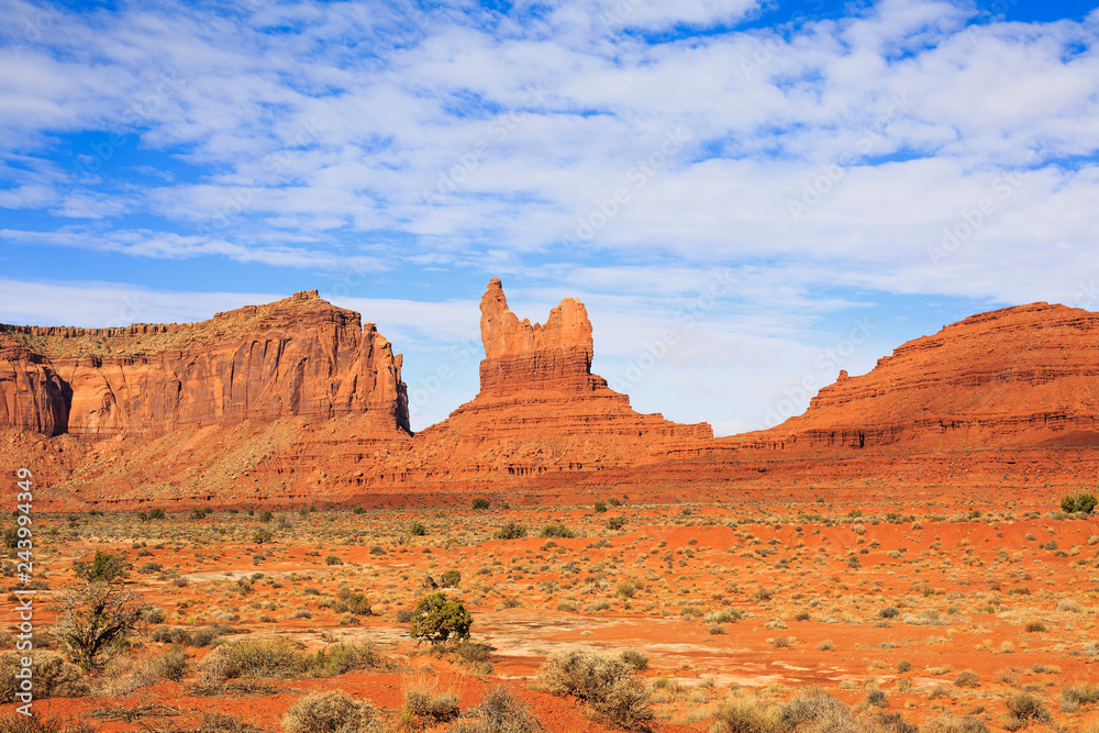 Wide open desert space with abundant spring greenery with blue sky and red mountains in distance, USA