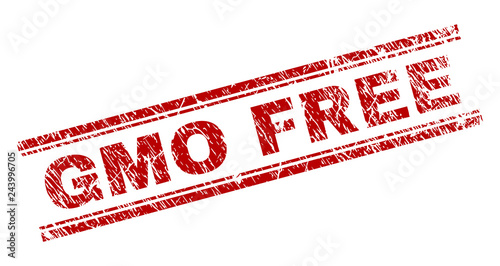 GMO FREE seal print with distress texture. Red vector rubber print of GMO FREE text with scratched texture. Text caption is placed between double parallel lines.
