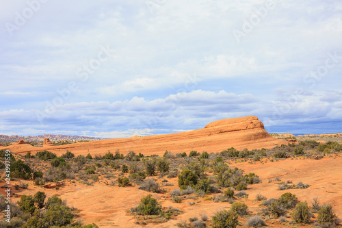 Desert landscape in the spring, Utah, USA.