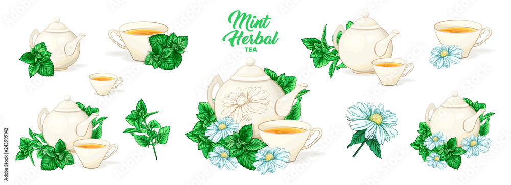 Herbal Tea with Mint in Ceramic Teapot and Tea cup. Clipart Vector Collection. Mint and Green Leaves. Isolated Detailed Herbs Illustration. Marker Hand Drawn Set. Porcelain Service for Restaurant Menu