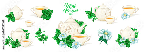 Herbal Tea with Mint in Ceramic Teapot and Tea cup. Clipart Vector Collection. Mint and Green Leaves. Isolated Detailed Herbs Illustration. Marker Hand Drawn Set. Porcelain Service for Restaurant Menu