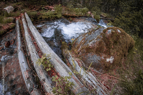 Rapid stream in Taiga (Barguzin nature reserve Davsha trail) photo