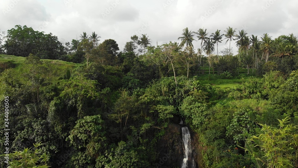 aerial drone photo of amazing view of waterfall in the jungle of Bali island. Sunset time in the rainforest. aerial drone photo of amazing view of waterfall in the jungle of Bali island. Sunset time in the rainforest.