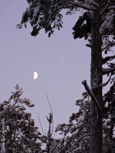 moon