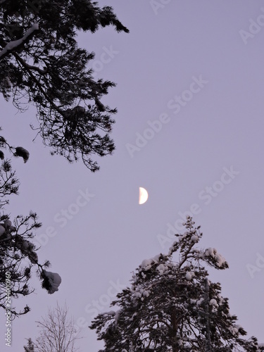 moon