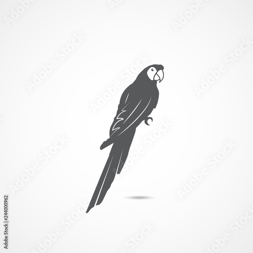 Parrot flat icon