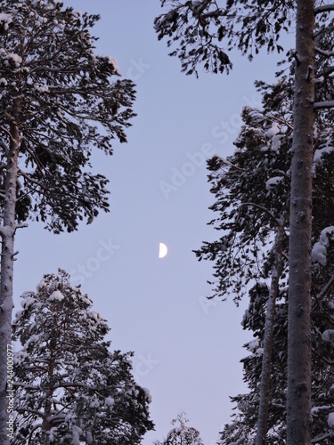 moon