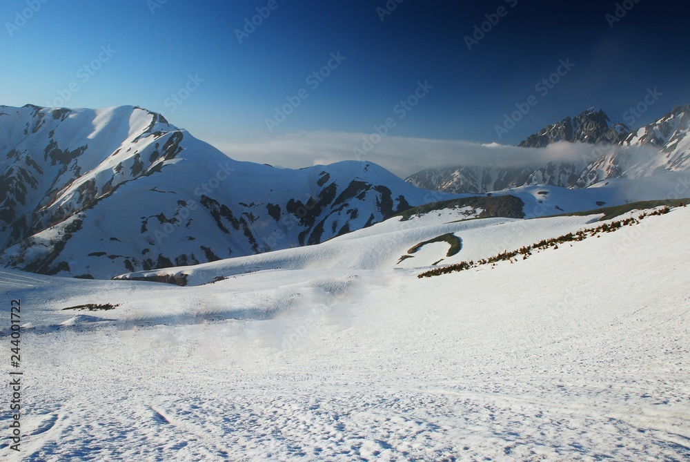 Tateyama kurobe alpine  ~   snowy landscape