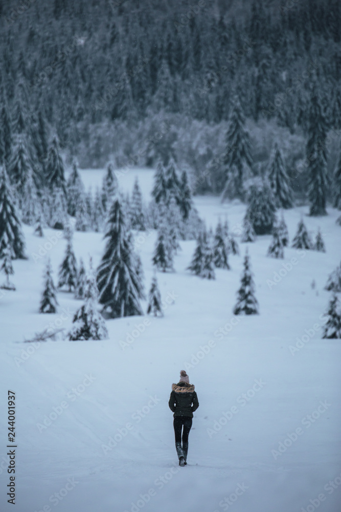 Young traveler people walking in the snowy forest