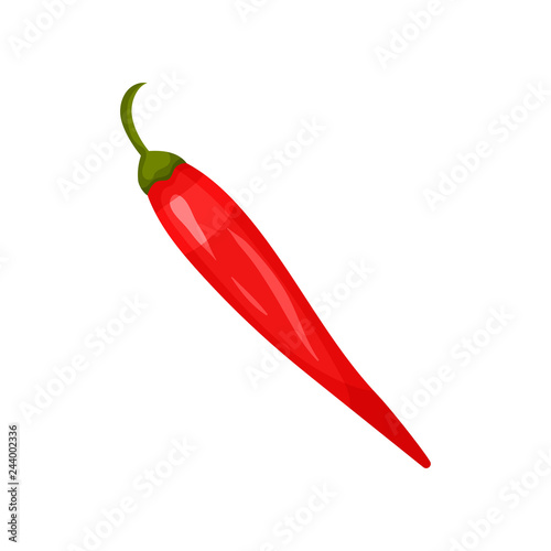 Fresh red hot chili pepper. Spicy vegetable. Natural food. Cooking ingredient. Organic product. Flat vector icon