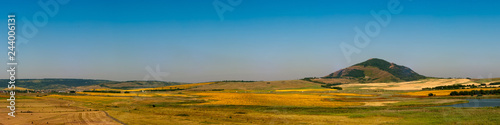 Fields with blooming sunflower. Farm mowing, hay and straw for livestock in winter. Panorama