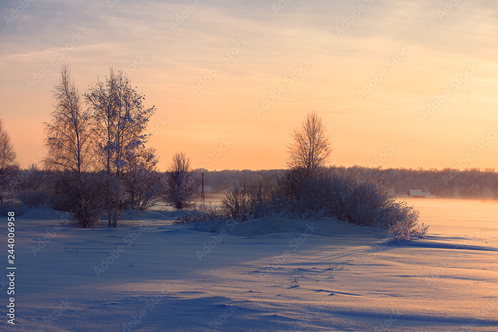 country-side winter view