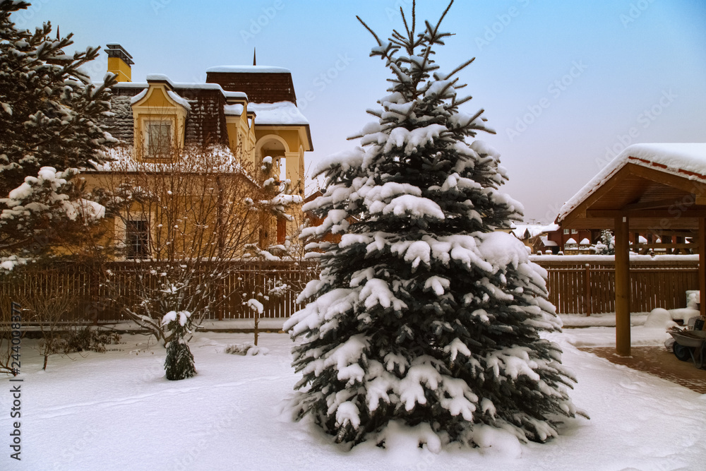 Country house. Landscape with snowbanks of white snow and pine trees in country garden. Country life concept