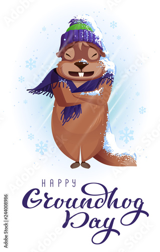 Groundhog Day weather forecast. Woodchuck was very cold and wrapped in scarf