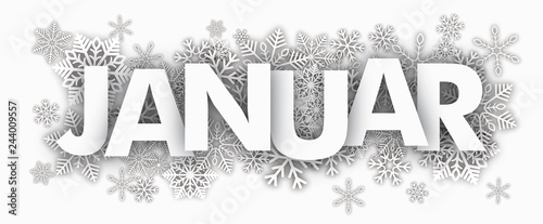 Schneeflocken Januar