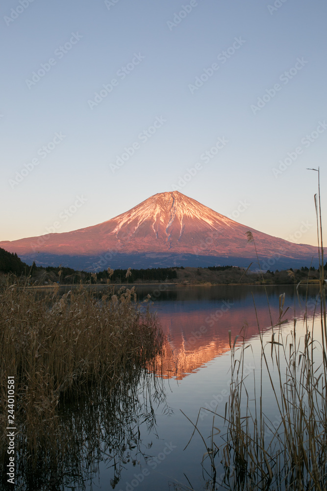 夕暮れの富士山と湖:Mt.Fuji & lake in sunset 1