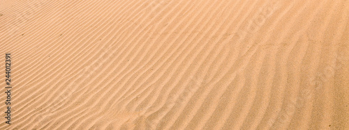 Red sand ripples in the Sahara desert 