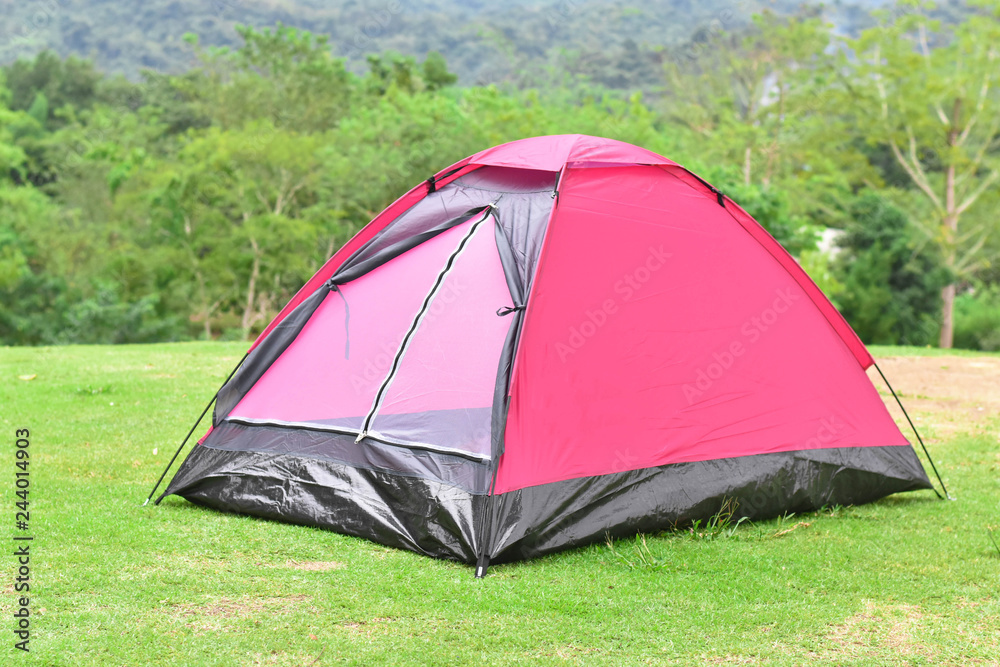 Pink color dome tent and mountain range landscapes in the background.