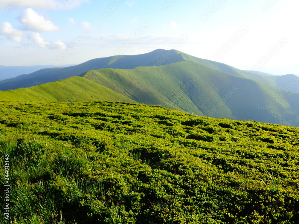 Obraz premium green mountain range