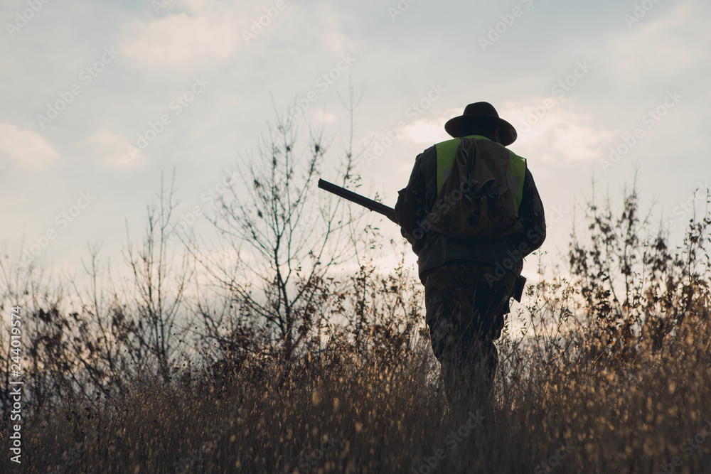 Hunter with a german drathaar and spaniel, pigeon hunting with dogs in reflective vests Hunter with a german drathaar and spaniel, pigeon hunting with dogs in reflective vests