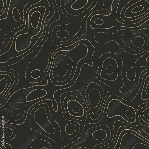 Topographic map. Actual topography map. Seamless design. Cool tileable isolines pattern, vector illustration.