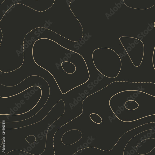Admirable topography map. Seamless design. Alluring tileable isolines pattern, vector illustration.