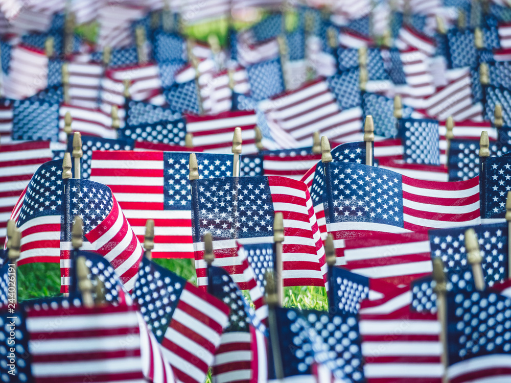 Fototapeta premium Independence Day in the park