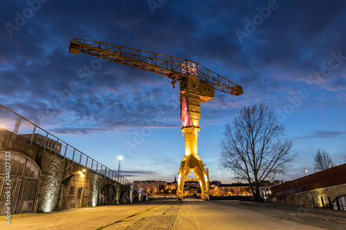 Grue jaune Titan de l'île de Nantes (Loire-Atlantique, France)