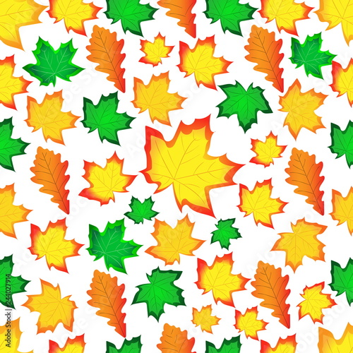 Leaves of a maple. Seamless drawing of autumn leaves of trees