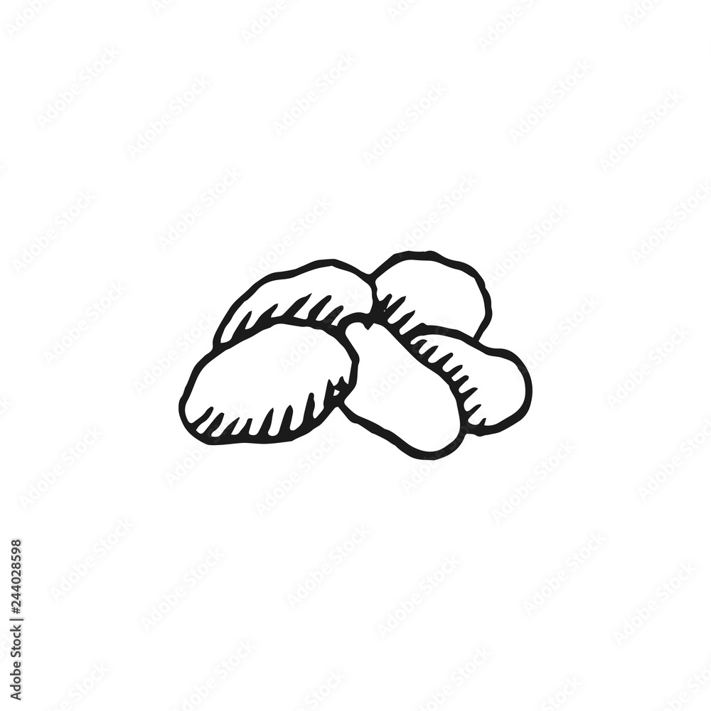 potato doodle vector sketch isolated on white background potato doodle vector sketch isolated on white background