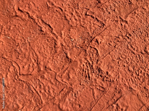 red rock wall textured background close-up. Copy space