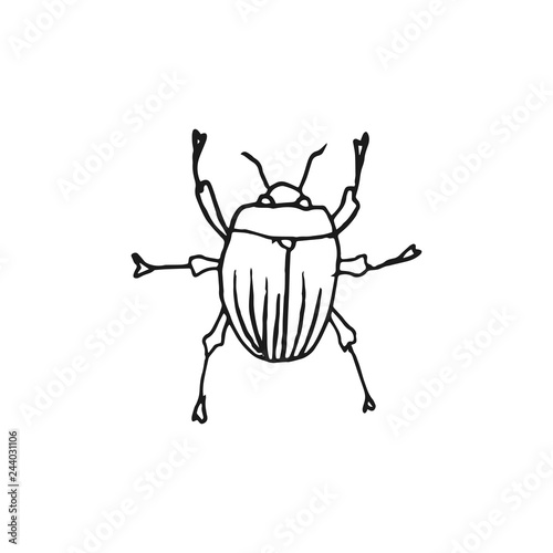 beetle vector doodle sketch isolated on white background