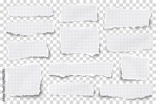 Set of checkered paper different shapes scraps isolated on transparent background. Vector paper mockup.