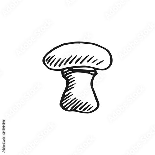 champignon vector doodle sketch isolated on white background