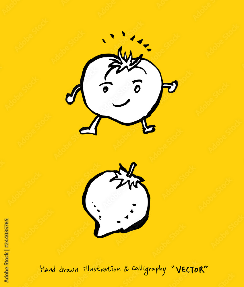 Obraz premium 농산물 일러스트 / 손으로 그린 과일과 채소 그림