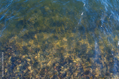 Bottom with mud through clear water