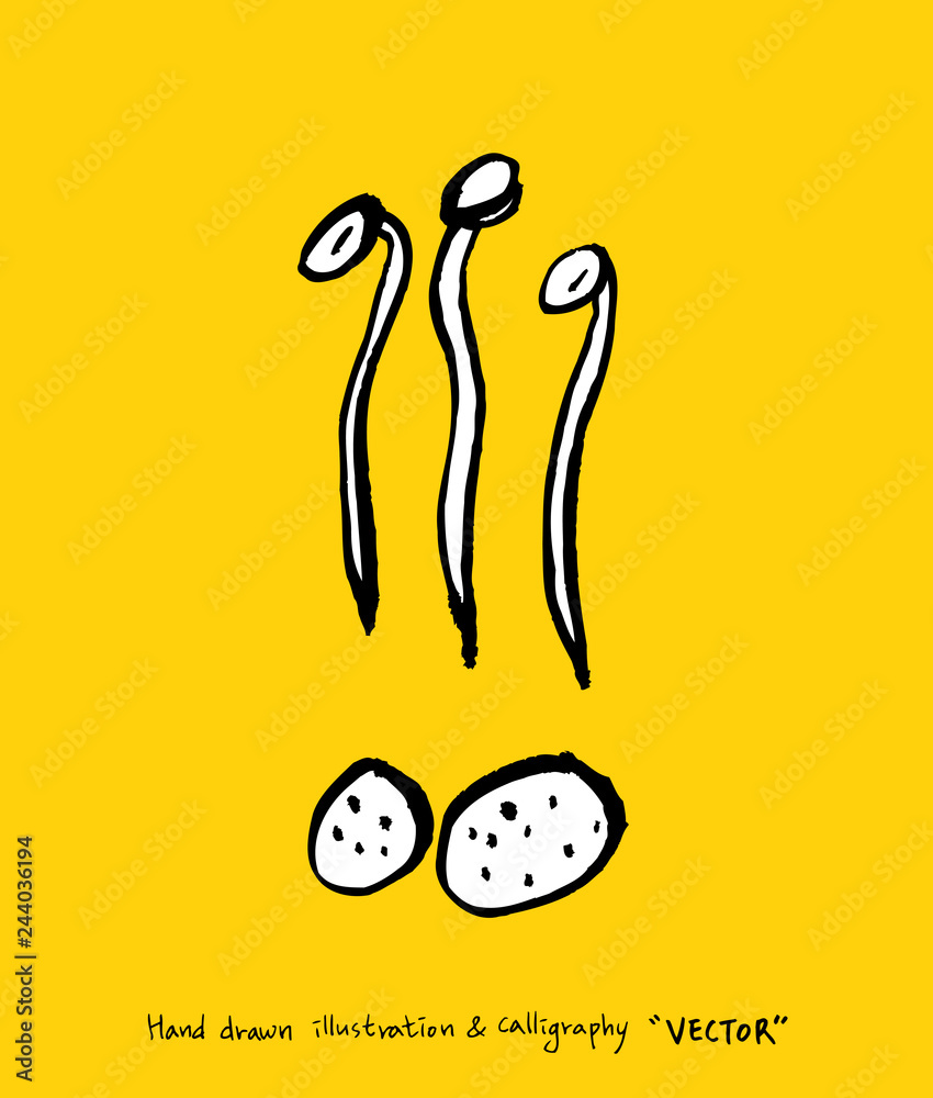 Fototapeta premium 농산물 일러스트 / 손으로 그린 과일과 채소 그림