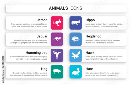 Set of 8 white animals icons such as Jerboa, Jaguar, Humming bird, Hog, Hippo, Hegdehog isolated on colorful background photo