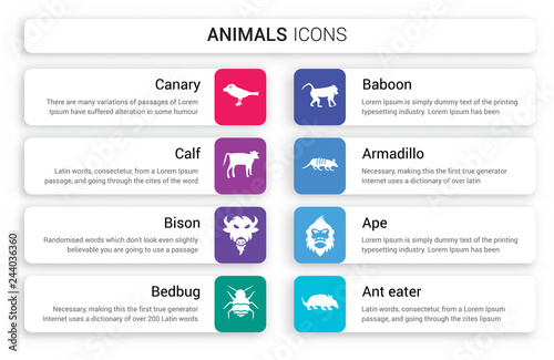 Set of 8 white animals icons such as Canary, Calf, Bison, Bedbug, Baboon, Armadillo isolated on colorful background